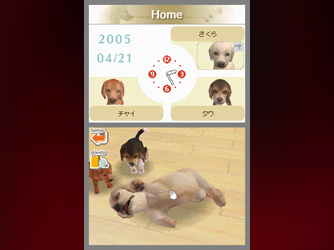 Nintendogs (2)