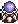 Hardhat Beetle