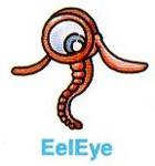 eleye