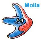 moila