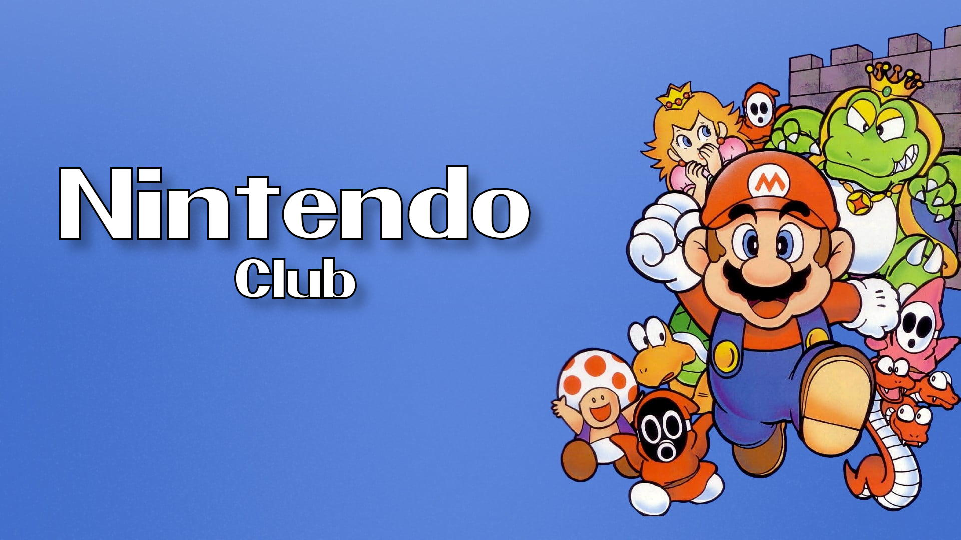 (c) Nintendoclub.it